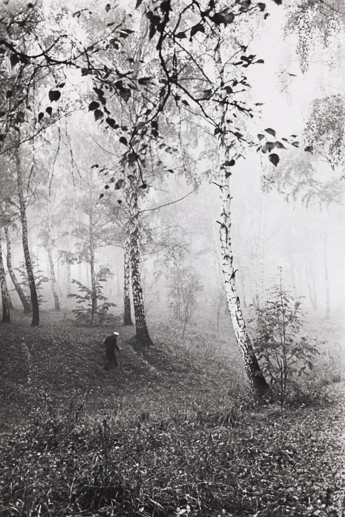Chekhov's motif